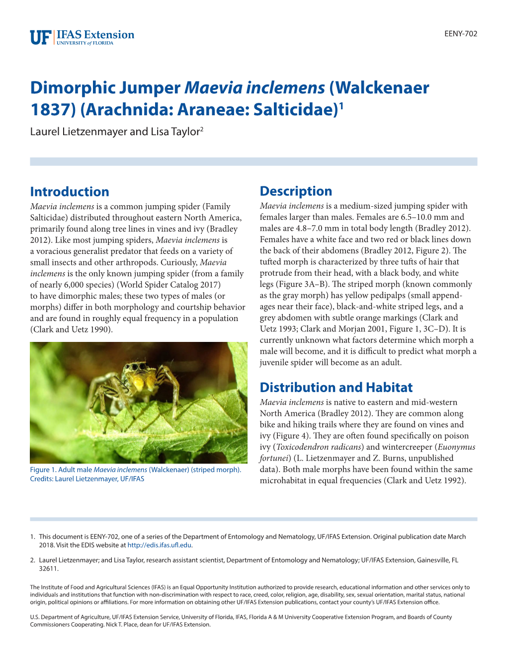 Dimorphic Jumper Maevia Inclemens (Walckenaer 1837) (Arachnida: Araneae: Salticidae)1 Laurel Lietzenmayer and Lisa Taylor2