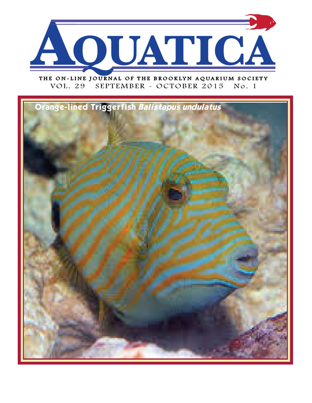 Orange-Lined Triggerfish Balistapus Undulatus 1 104 Y EARS of E DUCATING a QUARISTS AQUATICA VOL