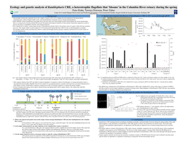 Ecology and Genetic Analysis of Katablepharis CRE, A