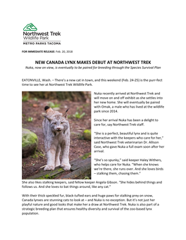 New Canada Lynx Nuka to Make Debut at Northwest Trek