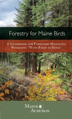 Forestry for Maine Birds
