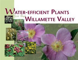 Water-Efficient Plants Willamette Valley