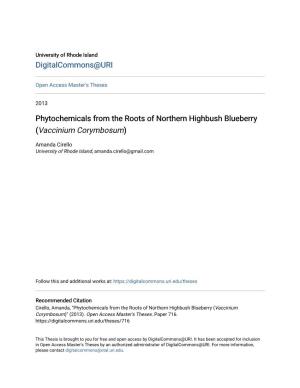 Phytochemicals from the Roots of Northern Highbush Blueberry (Vaccinium Corymbosum)