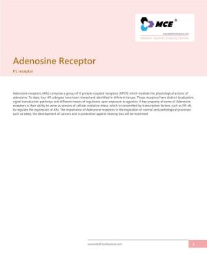 Adenosine Receptor P1 Receptor