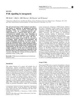 PAK Signaling in Oncogenesis