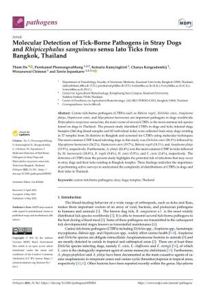 Molecular Detection of Tick-Borne Pathogens in Stray Dogs and Rhipicephalus Sanguineus Sensu Lato Ticks from Bangkok, Thailand
