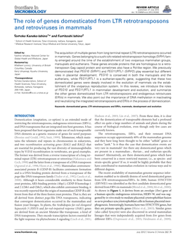 The Role of Genes Domesticated from LTR Retrotransposons and Retroviruses in Mammals