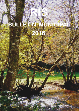 Bulletin Municipal 2016.Pdf