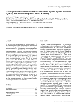 Skull Shape Differentiation of Black and White Olms (Proteus Anguinus Anguinus and Proteus A