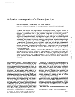 Molecular Heterogeneity of Adherens Junctions