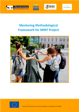 Mentoring Methodological Framework for MINT Project