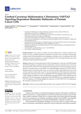 Cerebral Cavernous Malformation 1 Determines YAP/TAZ Signaling-Dependent Metastatic Hallmarks of Prostate Cancer Cells