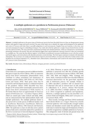 A Multiple Epidermis Or a Periderm in Parkinsonia Praecox (Fabaceae)