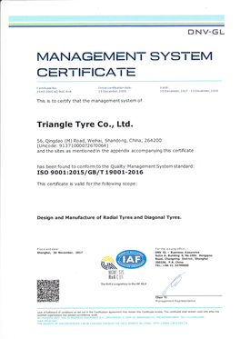 ISO9001 Certi English Triangle Valid to 20201215 (.Pdf)