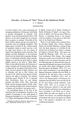 Finschia-"A Genus of "Nut" Trees of the Southwest Pacific