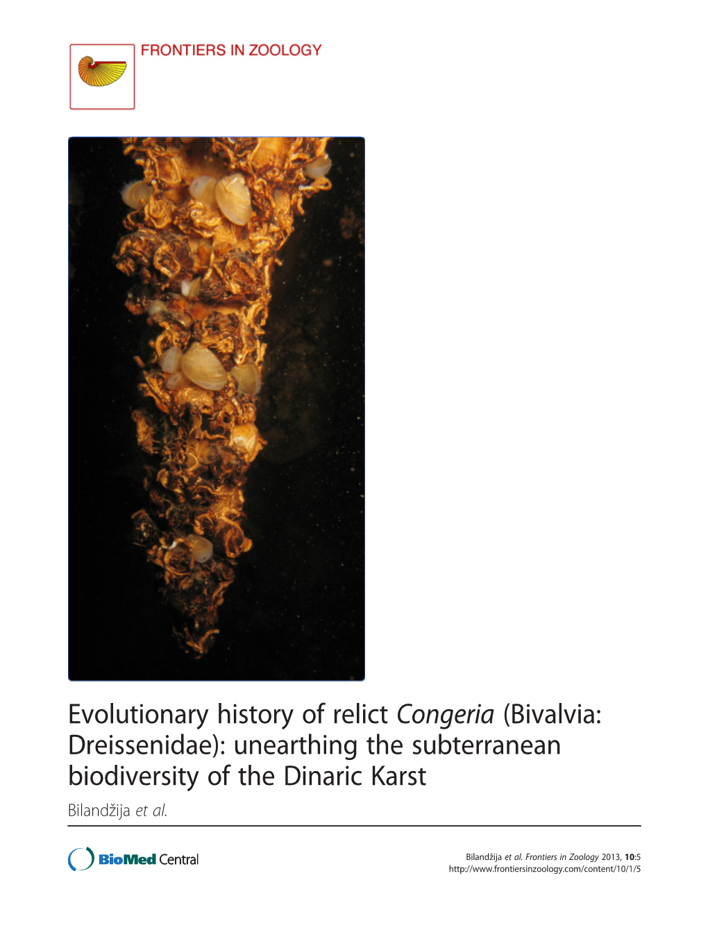 Evolutionary History of Relict Congeria (Bivalvia: Dreissenidae): Unearthing the Subterranean Biodiversity of the Dinaric Karst Bilandžija Et Al