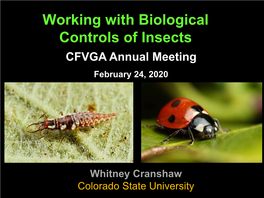 Working with Biological Controls of Insects CFVGA Annual Meeting February 24, 2020