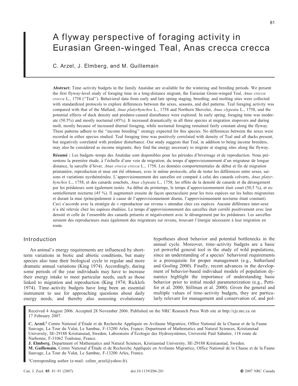 A Flyway Perspective of Foraging Activity in Eurasian Green-Winged Teal, Anas Crecca Crecca