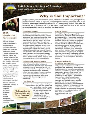 Why Is Soil Important?
