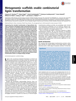 Metagenomic Scaffolds Enable Combinatorial Lignin Transformation