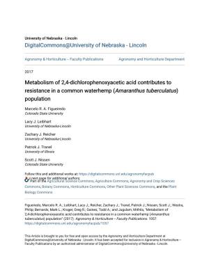 Metabolism of 2,4-Dichlorophenoxyacetic Acid Contributes to Resistance in a Common Waterhemp (Amaranthus Tuberculatus) Population