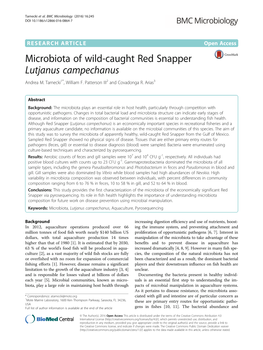 Microbiota of Wild-Caught Red Snapper Lutjanus Campechanus Andrea M