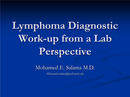 Lymphoma Diagnostic Work-Up from a Lab Perspective