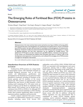 FOX) Proteins in Osteosarcoma Wentao Zhang1*, Ning Duan1*, Tao Song1, Zhong Li1, Caiguo Zhang2, Xun Chen1
