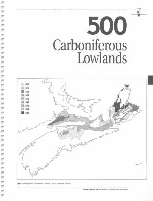 Carboniferous Lowlands