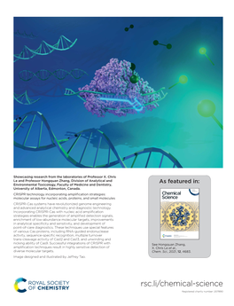 CRISPR Technology Incorporating Amplification Strategies: Molecular