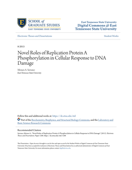 Novel Roles of Replication Protein a Phosphorylation in Cellular Response to DNA Damage Moises A