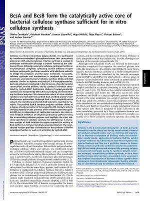 Bcsa and Bcsb Form the Catalytically Active Core of Bacterial Cellulose Synthase Sufﬁcient for in Vitro Cellulose Synthesis
