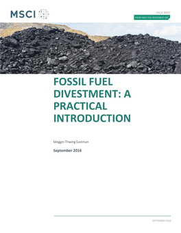 Fossil Fuel Divestment: a Practical Introduction