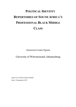 Political Identity Repertoires of South Africa's Professional Black Middle