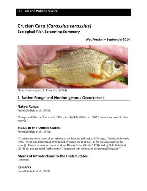 Carassius Carassius) Ecological Risk Screening Summary