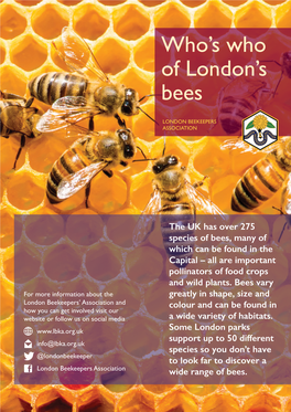 Who's Who of London's Bees