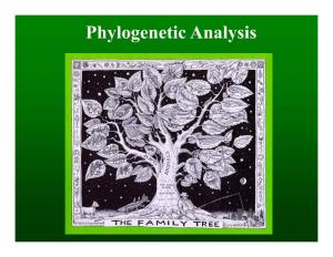 Phylogenetic Analysis Aristotle • Through Classification, One Might Discover the Essence and Purpose of Species