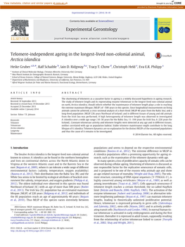 Telomere-Independent Ageing in the Longest-Lived Non-Colonial Animal, Arctica Islandica