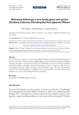 Cnidaria, Cubozoa, Chirodropida) from Japanese Waters