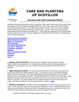 Care and Planting of Ocotillos