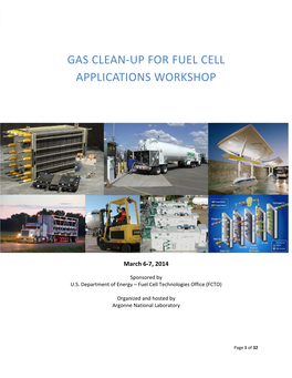 Gas Clean-Up for Fuel Cell Applications Workshop