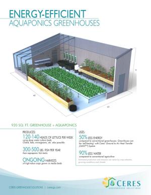 Energy-Efficient Aquaponics Greenhouses