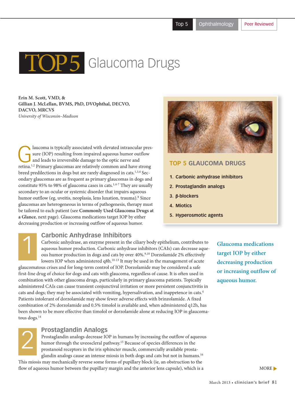 Glaucoma Drugs