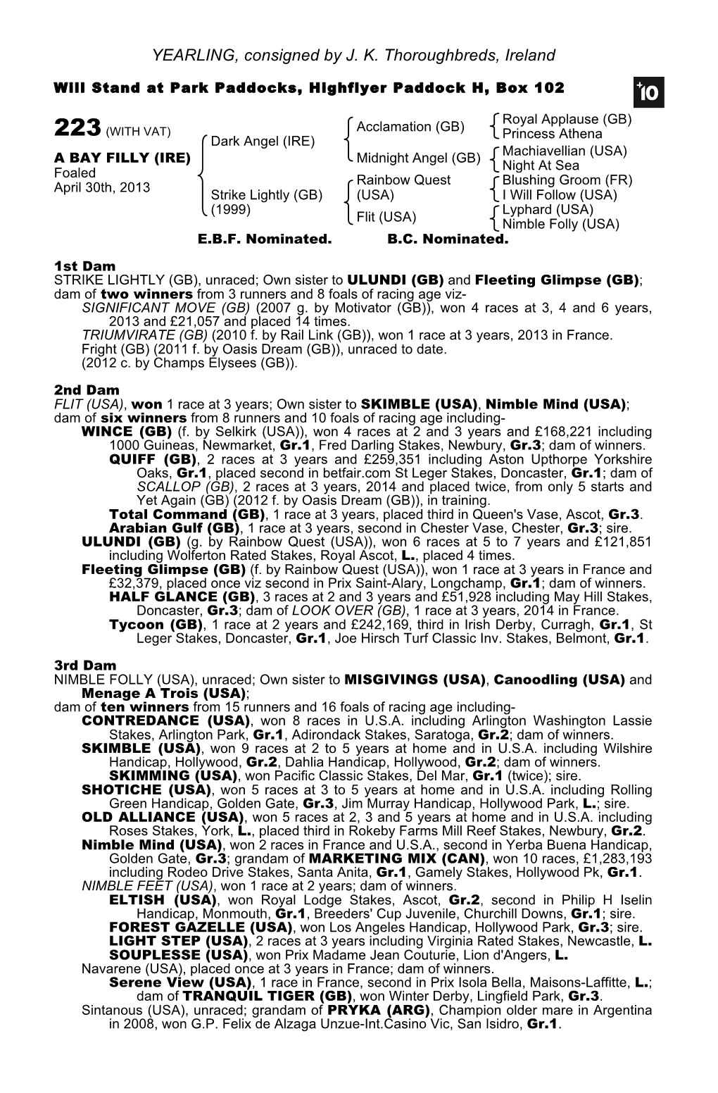 YEARLING, Consigned by J. K. Thoroughbreds, Ireland