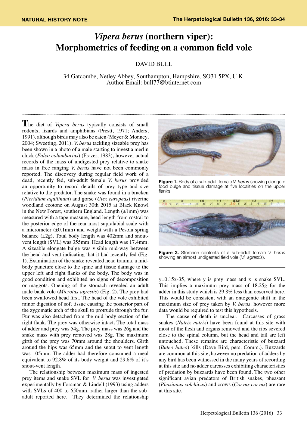 Vipera Berus (Northern Viper): Morphometrics of Feeding on a Common Field Vole