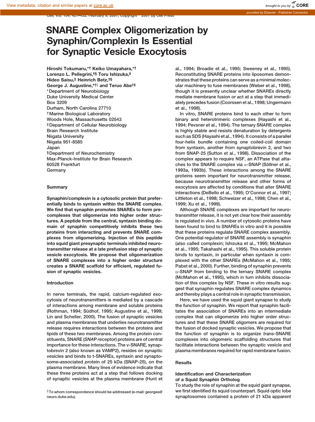 SNARE Complex Oligomerization by Synaphin/Complexin Is Essential for Synaptic Vesicle Exocytosis