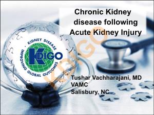 Chronic Kidney Disease Following Acute Kidney Injury