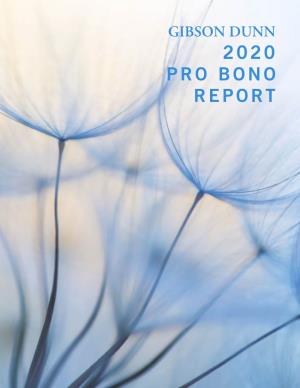 2020 Pro Bono Report
