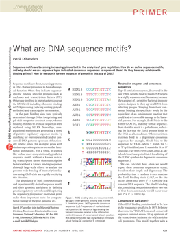 What Are DNA Sequence Motifs?