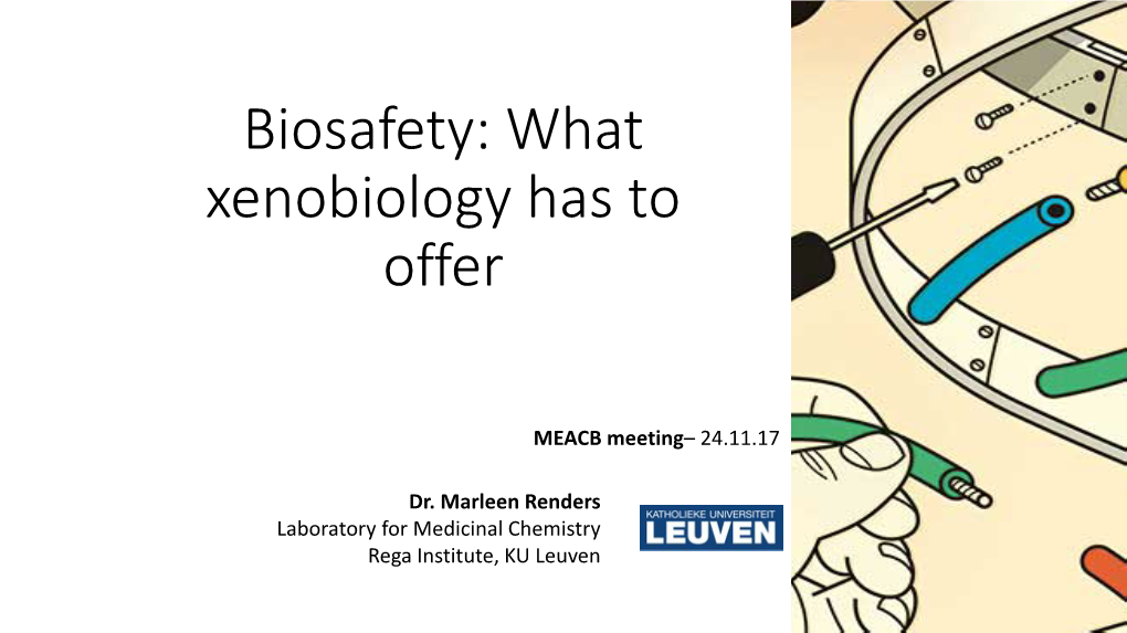 Biosafety: What Xenobiology Has to Offer